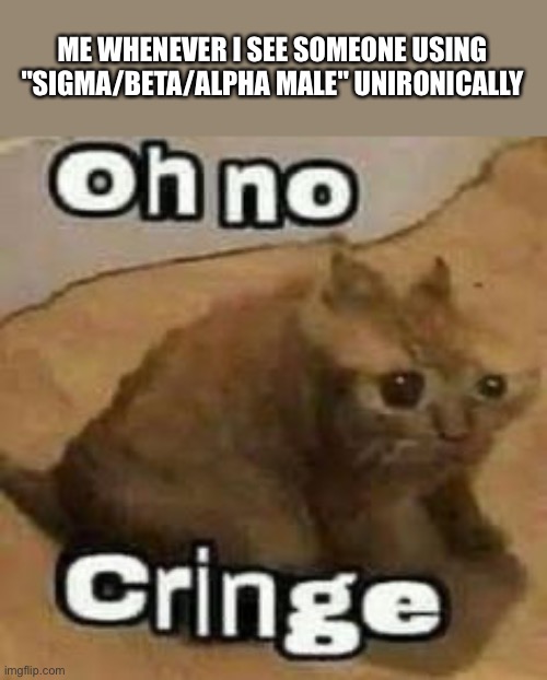 I want everyone who uses sigma/beta/alpha male unironically stay at least 50 kilometres away from me |  ME WHENEVER I SEE SOMEONE USING "SIGMA/BETA/ALPHA MALE" UNIRONICALLY | image tagged in oh no cringe | made w/ Imgflip meme maker