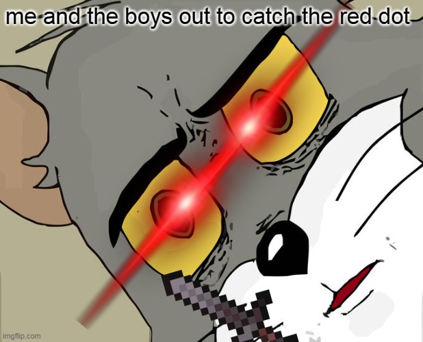 Unsettled Tom Meme | me and the boys out to catch the red dot | image tagged in memes,unsettled tom | made w/ Imgflip meme maker