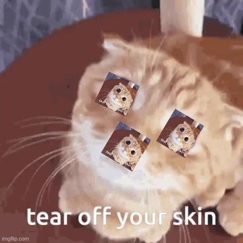 tear off your skin | image tagged in tear off your skin | made w/ Imgflip meme maker