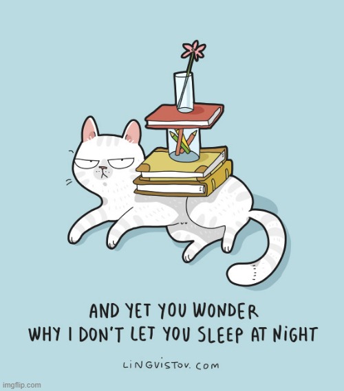 A Cat's Way Of Thinking | image tagged in memes,comics,cats,white cat table,wondering,hey are you sleeping | made w/ Imgflip meme maker