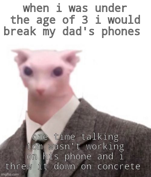 bingus | when i was under the age of 3 i would break my dad's phones; one time talking tom wasn't working on his phone and i threw it down on concrete | image tagged in bingus | made w/ Imgflip meme maker