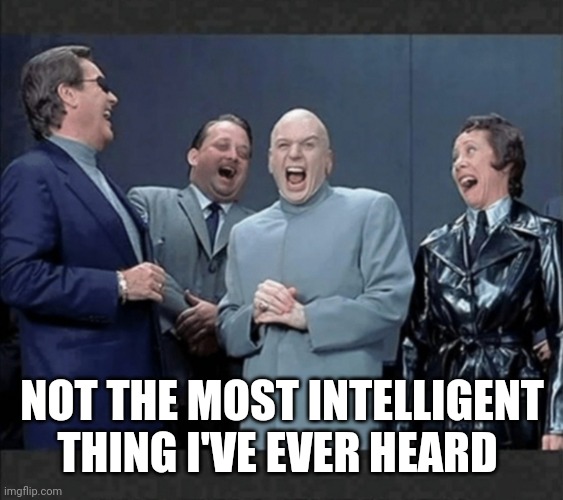 Dr Evil & crew laugh at you | NOT THE MOST INTELLIGENT THING I'VE EVER HEARD | image tagged in dr evil crew laugh at you | made w/ Imgflip meme maker