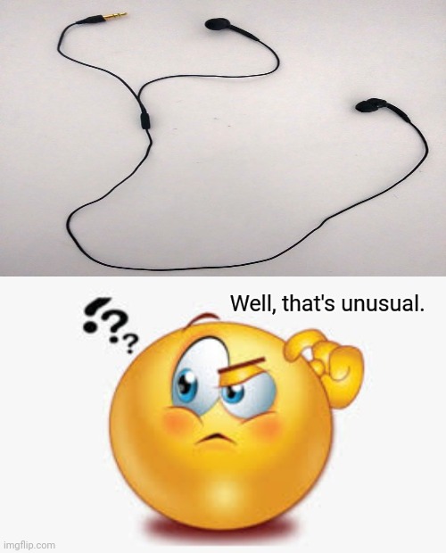 Earbuds | image tagged in well that's unusual,you had one job,earbuds,memes,meme,electronics | made w/ Imgflip meme maker