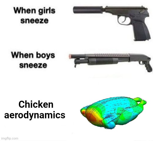 Chicken aerodynamics | Chicken aerodynamics | image tagged in when girls sneeze when boys sneeze,chicken,aerodynamics,chickens,memes,meme | made w/ Imgflip meme maker