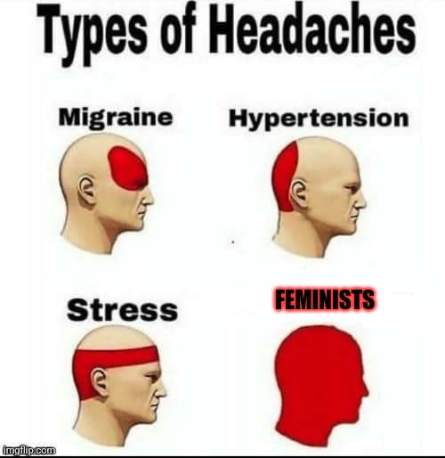 Feminist torture | FEMINISTS | image tagged in feminist,crazy lady | made w/ Imgflip meme maker