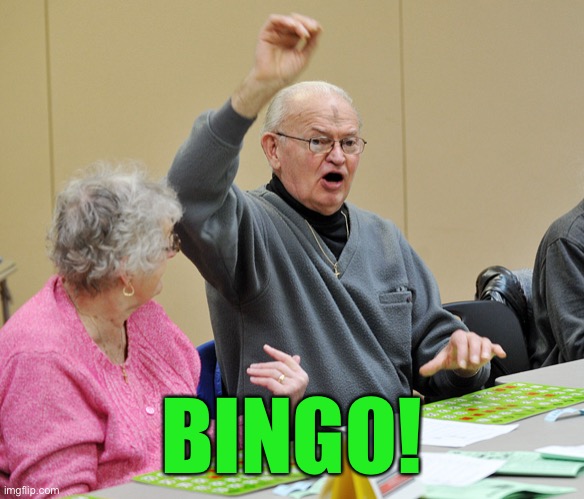 Bingo | BINGO! | image tagged in bingo | made w/ Imgflip meme maker