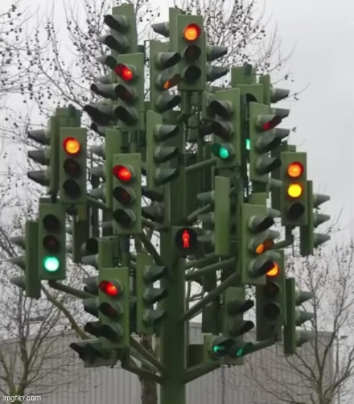 you know they're ripe and ready to pick when all 3 lights are on | made w/ Imgflip meme maker