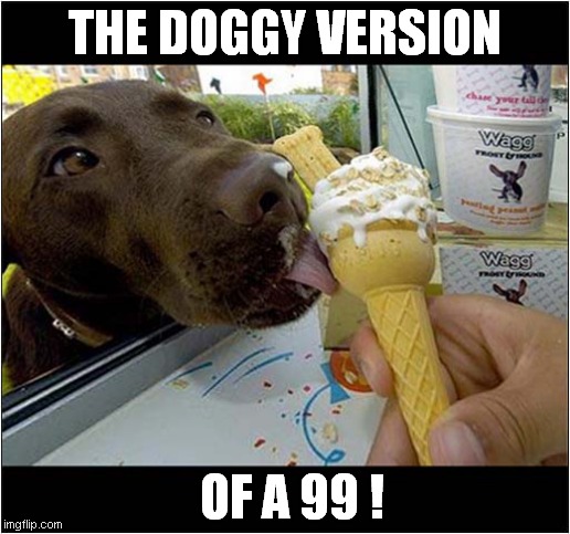 Who Knew There Was Dog Ice Cream ? | THE DOGGY VERSION; OF A 99 ! | image tagged in dogs,ice cream,ice cream cone | made w/ Imgflip meme maker