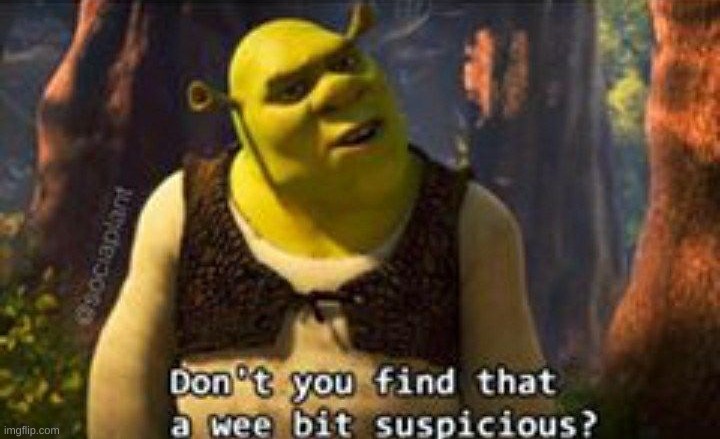 Don't you find that a wee bit suspicious? | image tagged in don't you find that a wee bit suspicious | made w/ Imgflip meme maker