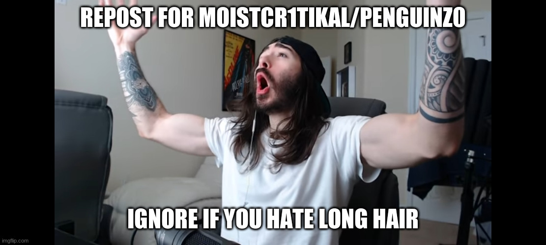 Moist critikal screaming | REPOST FOR MOISTCR1TIKAL/PENGUINZ0; IGNORE IF YOU HATE LONG HAIR | image tagged in moist critikal screaming | made w/ Imgflip meme maker