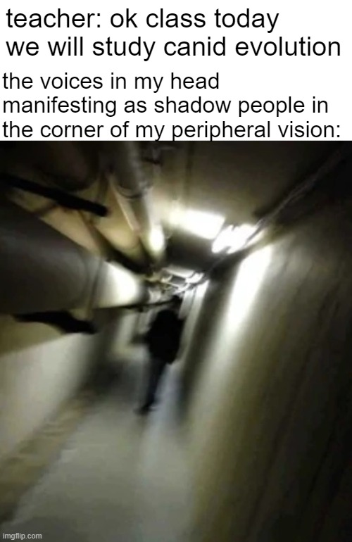 Shadow Man Chasing | teacher: ok class today we will study canid evolution; the voices in my head manifesting as shadow people in the corner of my peripheral vision: | image tagged in shadow man chasing | made w/ Imgflip meme maker