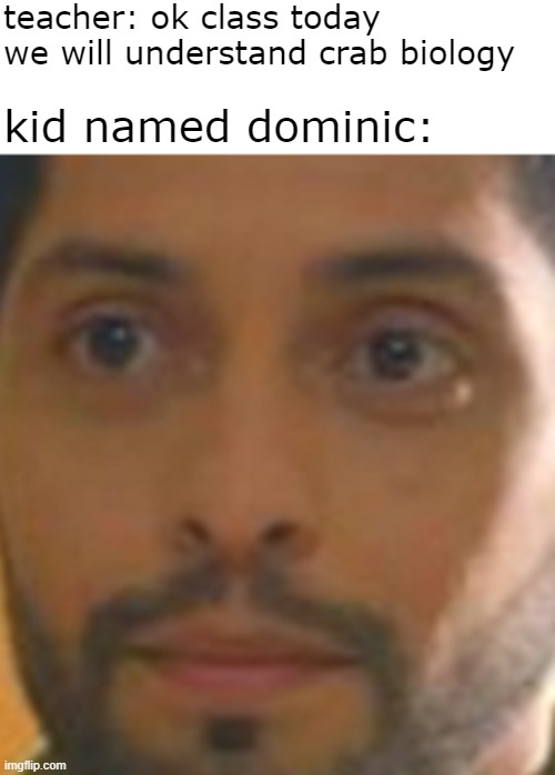 teacher: ok class today we will understand crab biology; kid named dominic: | made w/ Imgflip meme maker