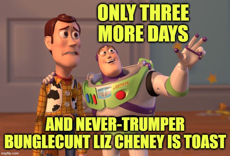 X, X Everywhere Meme | ONLY THREE
MORE DAYS AND NEVER-TRUMPER BUNGLECUNT LIZ CHENEY IS TOAST | image tagged in memes,x x everywhere | made w/ Imgflip meme maker