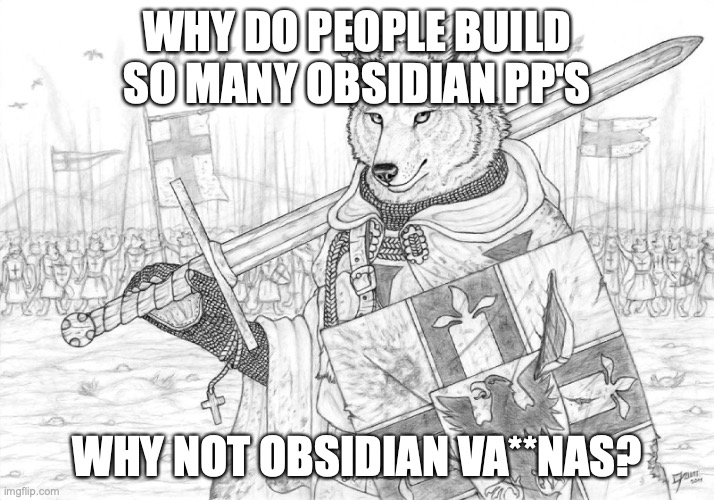 someone please make this in minecraft /j | WHY DO PEOPLE BUILD SO MANY OBSIDIAN PP'S; WHY NOT OBSIDIAN VA**NAS? | image tagged in fursader | made w/ Imgflip meme maker