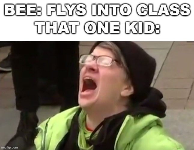 Scream with space at top | BEE: FLYS INTO CLASS; THAT ONE KID: | image tagged in scream with space at top | made w/ Imgflip meme maker