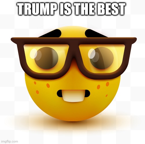 Nerd emoji | TRUMP IS THE BEST | image tagged in nerd emoji | made w/ Imgflip meme maker