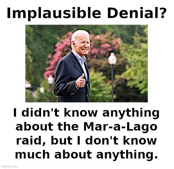 What Did He Know and When Did He Know It? | image tagged in joe biden,mar-a-lago,fbi,raid | made w/ Imgflip meme maker