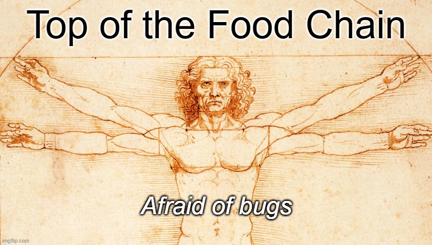 Because they're icky. Duuuh | Top of the Food Chain; Afraid of bugs | made w/ Imgflip meme maker