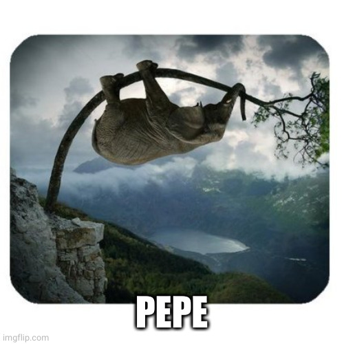 Elephant in a Tree | PEPE | image tagged in elephant in a tree | made w/ Imgflip meme maker