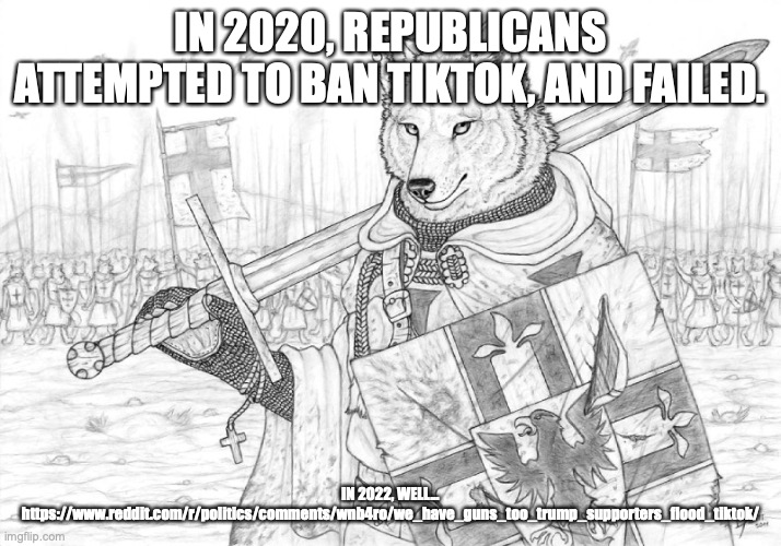 explain this | IN 2020, REPUBLICANS ATTEMPTED TO BAN TIKTOK, AND FAILED. IN 2022, WELL... https://www.reddit.com/r/politics/comments/wnb4ro/we_have_guns_too_trump_supporters_flood_tiktok/ | image tagged in fursader | made w/ Imgflip meme maker