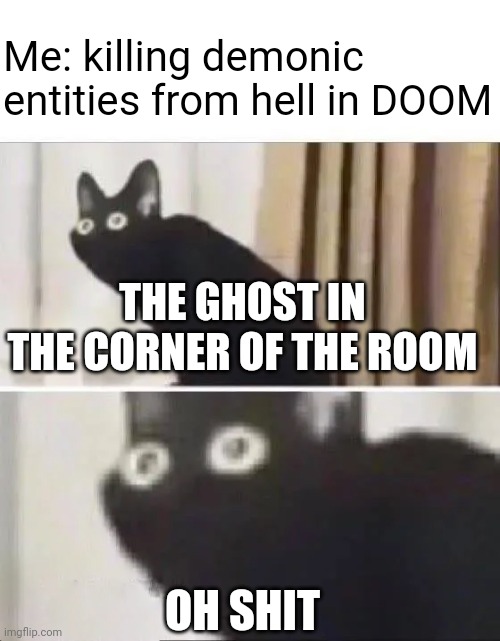DOOM |  Me: killing demonic entities from hell in DOOM; THE GHOST IN THE CORNER OF THE ROOM; OH SHIT | image tagged in oh no black cat | made w/ Imgflip meme maker