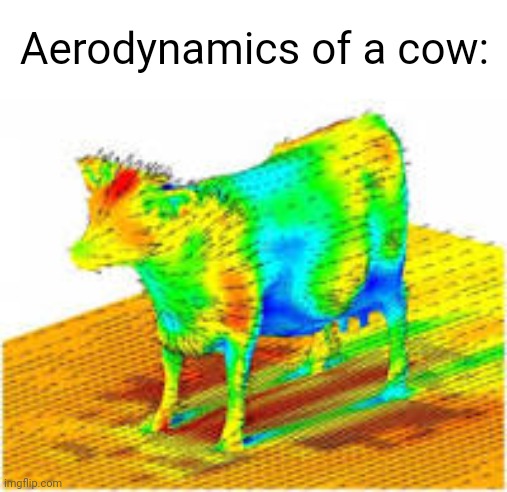 Aerodynamics of a cow | Aerodynamics of a cow: | image tagged in aerodynamics of a cow | made w/ Imgflip meme maker