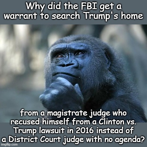 He is just a low level judge who has posted anti-Trump comments on Fakebook for years. No conflict here at all. | Why did the FBI get a warrant to search Trump's home; from a magistrate judge who recused himself from a Clinton vs. Trump lawsuit in 2016 instead of a District Court judge with no agenda? | image tagged in deep thoughts | made w/ Imgflip meme maker