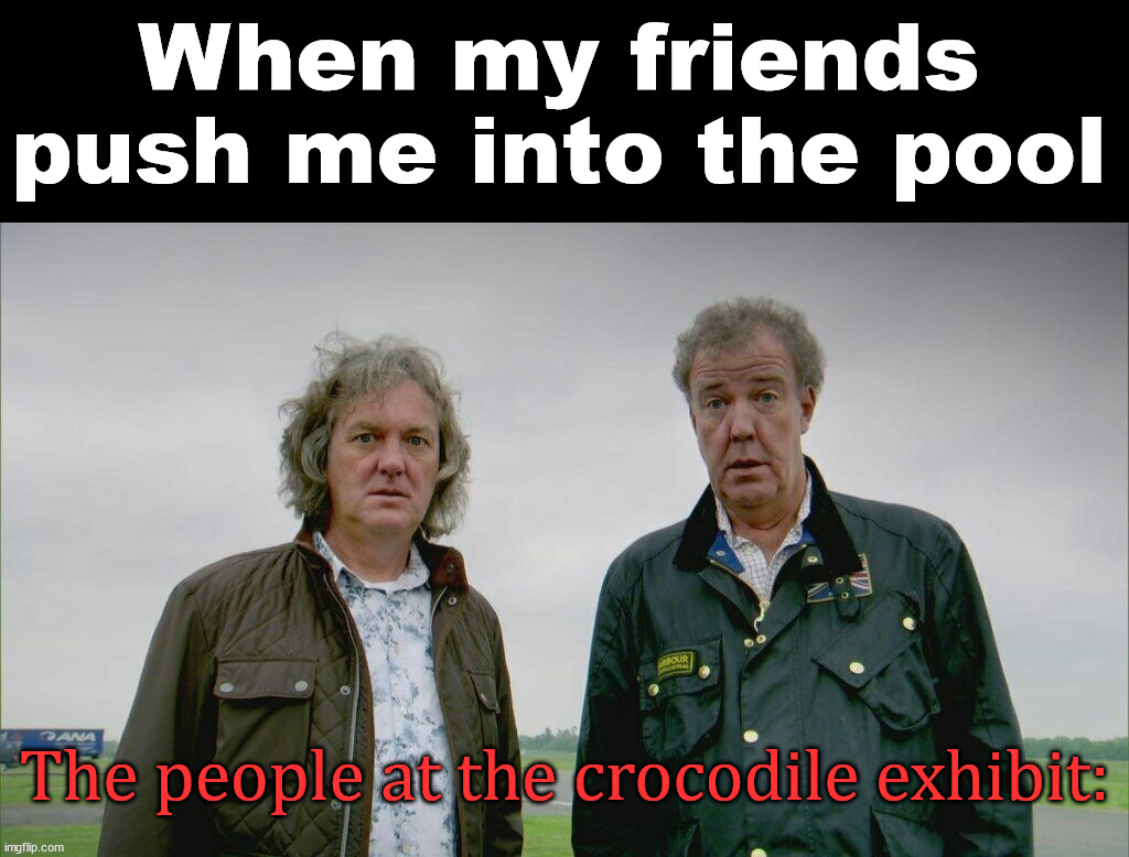When my friends push me into the pool; The people at the crocodile exhibit: | image tagged in dark humor | made w/ Imgflip meme maker