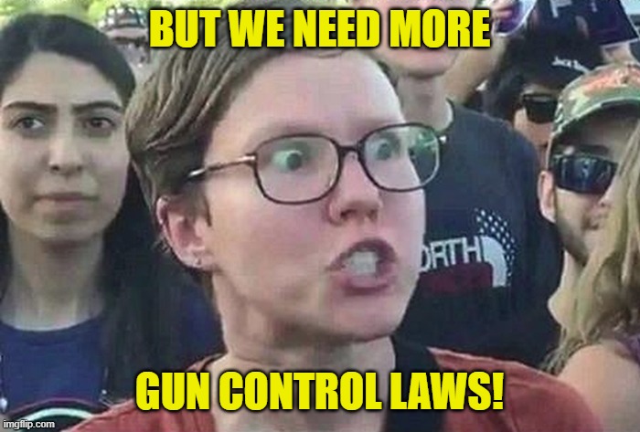 Triggered Liberal | BUT WE NEED MORE GUN CONTROL LAWS! | image tagged in triggered liberal | made w/ Imgflip meme maker
