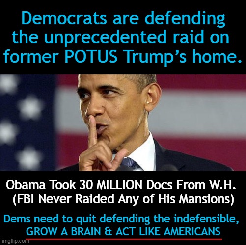 PSA to DEMS: Try to have ONE SET of STANDARDS for a change! | Democrats are defending
the unprecedented raid on 
former POTUS Trump’s home. Obama Took 30 MILLION Docs From W.H. 
(FBI Never Raided Any of His Mansions); Dems need to quit defending the indefensible, 
GROW A BRAIN & ACT LIKE AMERICANS | image tagged in politics,liberals vs conservatives,democrats,double standards,barack obama,partisan politics | made w/ Imgflip meme maker
