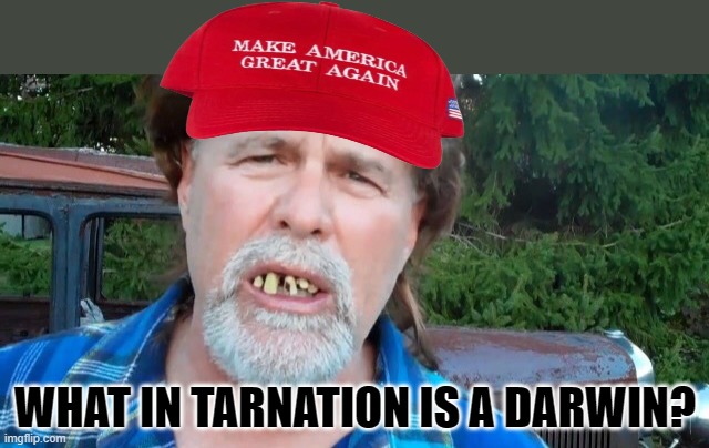 Angry redneck hillbilly Trump voter | WHAT IN TARNATION IS A DARWIN? | image tagged in angry redneck hillbilly trump voter,political memes,funny | made w/ Imgflip meme maker