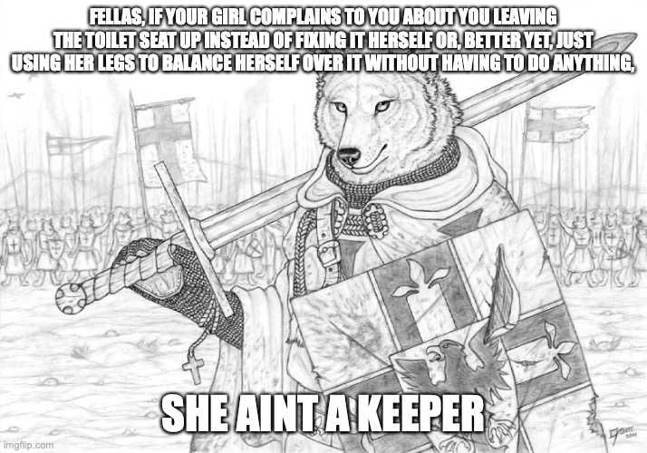 so sayeth the man whom has had exactly 0 relationships whatsoever | FELLAS, IF YOUR GIRL COMPLAINS TO YOU ABOUT YOU LEAVING THE TOILET SEAT UP INSTEAD OF FIXING IT HERSELF OR, BETTER YET, JUST USING HER LEGS TO BALANCE HERSELF OVER IT WITHOUT HAVING TO DO ANYTHING, SHE AINT A KEEPER | image tagged in fursader | made w/ Imgflip meme maker