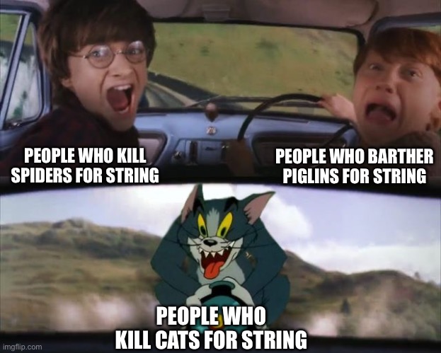 Tom chasing Harry and Ron Weasly | PEOPLE WHO BARTHER PIGLINS FOR STRING; PEOPLE WHO KILL SPIDERS FOR STRING; PEOPLE WHO KILL CATS FOR STRING | image tagged in tom chasing harry and ron weasly,minecraft,minecraft memes,memes,gaming,funny | made w/ Imgflip meme maker