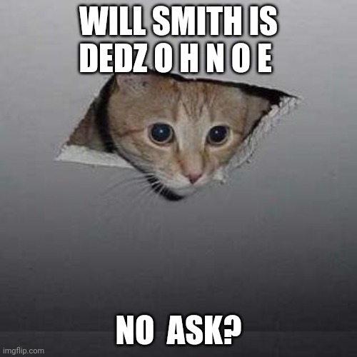 OHZ MOWSWW! | WILL SMITH IS DEDZ O H N O E; NO  ASK? | image tagged in memes,ceiling cat | made w/ Imgflip meme maker