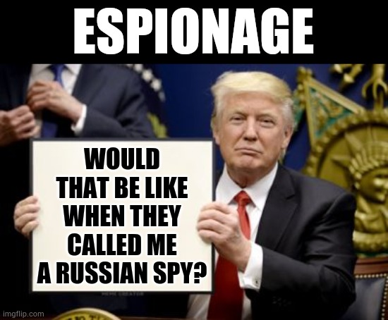 Round Three | ESPIONAGE; WOULD THAT BE LIKE WHEN THEY CALLED ME A RUSSIAN SPY? | image tagged in donald trump,not,russian,spy,memes,politics | made w/ Imgflip meme maker