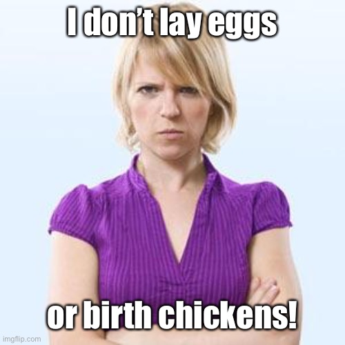 Angry woman | I don’t lay eggs or birth chickens! | image tagged in angry woman | made w/ Imgflip meme maker