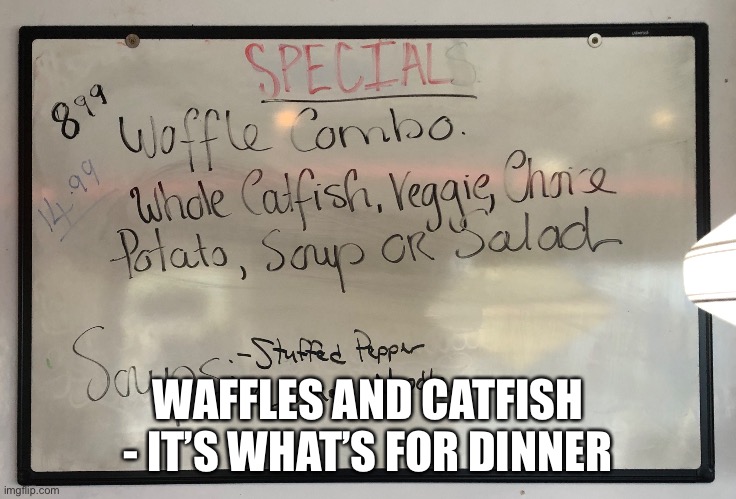 Waffles and Catfish | WAFFLES AND CATFISH - IT’S WHAT’S FOR DINNER | image tagged in oops | made w/ Imgflip meme maker