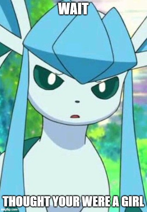 Glaceon confused | WAIT THOUGHT YOUR WERE A GIRL | image tagged in glaceon confused | made w/ Imgflip meme maker