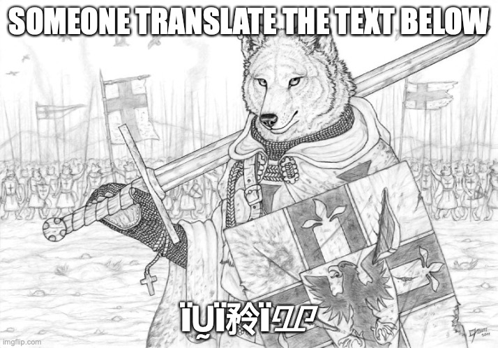 hint: it's a simple word in the English language | SOMEONE TRANSLATE THE TEXT BELOW; їṴї矝їᮽ | image tagged in fursader | made w/ Imgflip meme maker