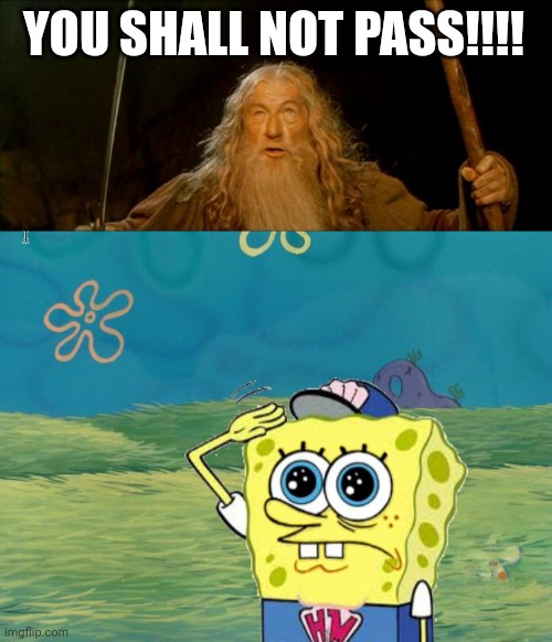 YOU SHALL NOT PASS!!!! | image tagged in gandalf you shall not pass,spongebob salute | made w/ Imgflip meme maker