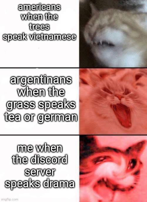 Crying cats | americans when the trees speak vietnamese; argentinans when the grass speaks tea or german; me when the discord server speaks drama | image tagged in crying cats | made w/ Imgflip meme maker