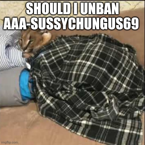 Floppa sleeping | SHOULD I UNBAN AAA-SUSSYCHUNGUS69 | image tagged in floppa sleeping | made w/ Imgflip meme maker