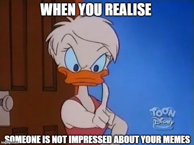 daisy is not inpressed with your memes | WHEN YOU REALISE; SOMEONE IS NOT IMPRESSED ABOUT YOUR MEMES | image tagged in quack pack | made w/ Imgflip meme maker