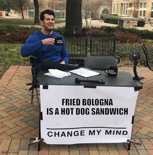 hot dog sandwich | FRIED BOLOGNA IS A HOT DOG SANDWICH | image tagged in change my mind | made w/ Imgflip meme maker