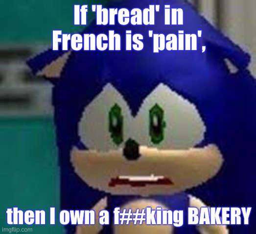 Sad Sonic | If 'bread' in French is 'pain', then I own a f##king BAKERY | image tagged in sad sonic | made w/ Imgflip meme maker