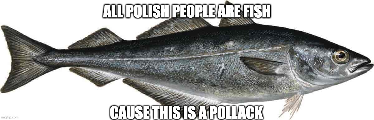 Pollaker er fisk | ALL POLISH PEOPLE ARE FISH; CAUSE THIS IS A POLLACK | image tagged in fish,polish | made w/ Imgflip meme maker