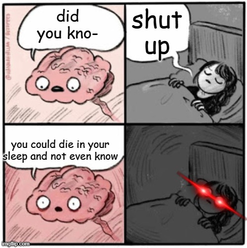 Brain Before Sleep | shut up; did you kno-; you could die in your sleep and not even know | image tagged in brain before sleep | made w/ Imgflip meme maker