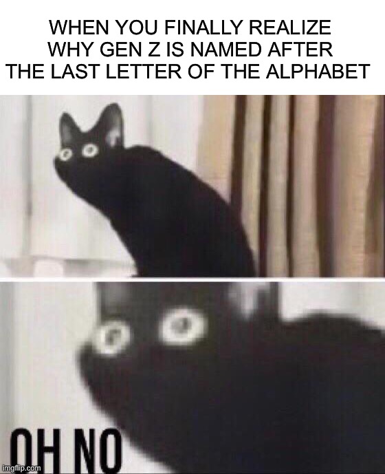 Oh no | WHEN YOU FINALLY REALIZE WHY GEN Z IS NAMED AFTER THE LAST LETTER OF THE ALPHABET | image tagged in oh no cat,memes,funny,oh no,uh oh,oh god | made w/ Imgflip meme maker