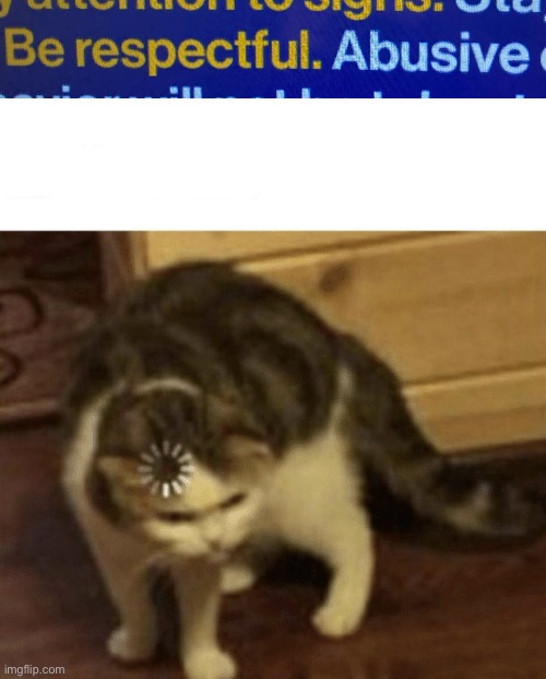 image tagged in cat loading template | made w/ Imgflip meme maker