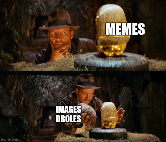 Indiana Jones swap | MEMES; IMAGES
DROLES | image tagged in indiana jones swap | made w/ Imgflip meme maker